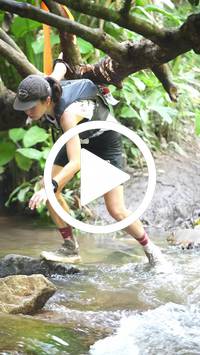 BIB:  <button type="button" onclick="openModal(27824225)" class="btn btn-primary btn-sm float-right" data-toggle="modal" data-target=".modal-high-quality">
                <i class="fa fa-download"></i> Download
                </button>